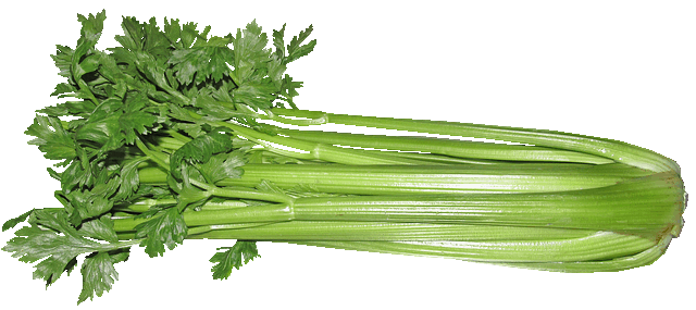 Healthy Ingredients Celery | Toby's Choice Dog Food