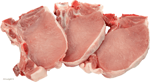 Real Ingredients Pork | Toby's Choice Dog Food