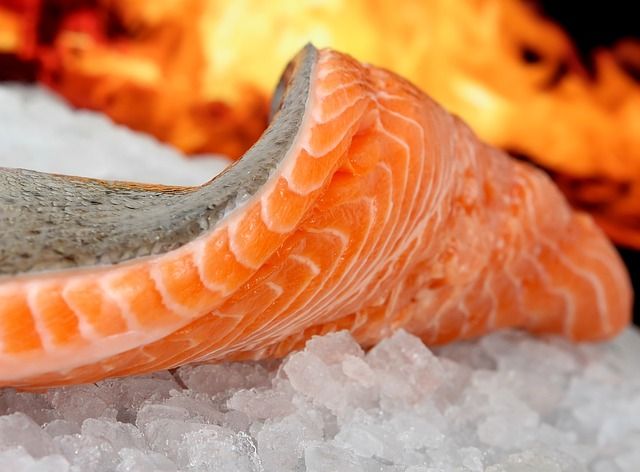 Real Ingredients Salmon | Toby's Choice Dog Food